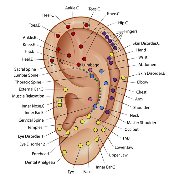 Auriculotherapy Services – 3 Rays of Light | Rev. Mela Borawski CHt